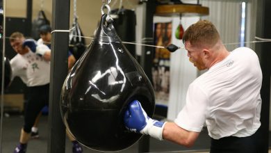 Water Punch Bag