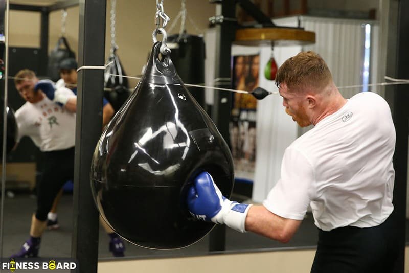 Water Punch Bag