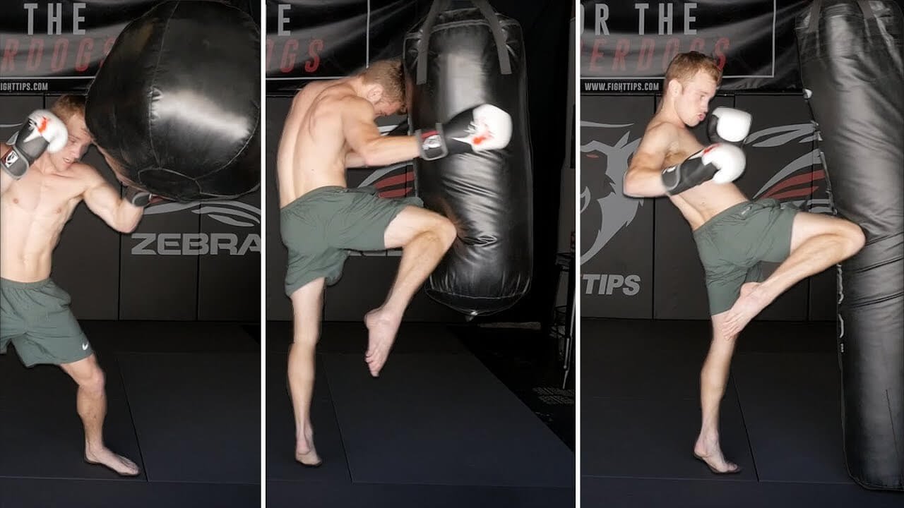 Difference Between Wrecking Ball Punching Bag vs Heavy Bag